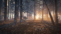 10. theHunter: Call of the Wild - Medved-Taiga PL (DLC) (PC) (klucz STEAM)
