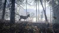 8. theHunter: Call of the Wild - Medved-Taiga PL (DLC) (PC) (klucz STEAM)