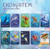 6. Ekosystem 2: Rafa koralowa