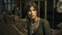 1. Rise of the Tomb Raider - Season Pass (PC) DIGITAL (klucz STEAM)
