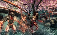 2. Shadow Warrior PL (klucz STEAM)