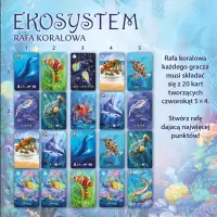 5. Ekosystem 2: Rafa koralowa