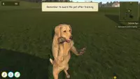 6. Animal Trainer Simulator PL (PC) (klucz STEAM)