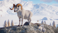 9. Planet Zoo: Arctic Pack PL (DLC) (PC) (klucz STEAM)