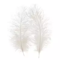 2. Craft With Fun Ozdoba Dekoracyjna Białe Piórka Puszki 545786