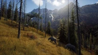 3. Way of the Hunter - Hunting Season One PL (Xbox Series X)