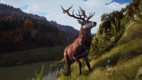 9. Way of the Hunter - Hunting Season One PL (Xbox Series X)