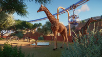 9. Planet Zoo Deluxe Edition PL (PC) (klucz STEAM)