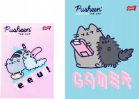 3. Zestaw Upominkowy Pusheen 649202