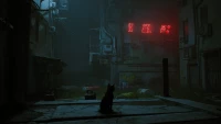4. Stray PL (PC) (klucz STEAM)
