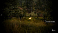 5. Hunting Simulator 2: A Ranger's Life (PC) (klucz STEAM)