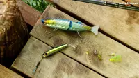 2. Ultimate Fishing Simulator - Sakura Lures PL (DLC) (PC) (klucz STEAM)
