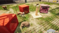 8. Animal Shelter PL (PC) (klucz STEAM)