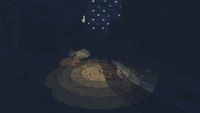 4. Shelter (PC/MAC) DIGITAL (klucz STEAM)