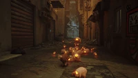 2. Stray PL (PC) (klucz STEAM)