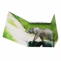 1. Starpak Teczka z Gumką Wild Animal 2 559730