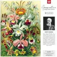 4. Good Loot Imagination: Ernst Haeckel Orchidea / Orchid (1000 elementów)