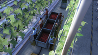 6. Polska Farma 2017 (PC) DIGITAL (klucz STEAM)