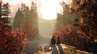 4. Life is Strange 2 Complete Season (PC) (klucz STEAM)