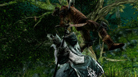 14. Dark Souls II (PC) PL DIGITAL (klucz STEAM)