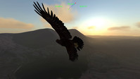 4. Aquila Bird Flight Simulator [VR] (PC) (klucz STEAM)