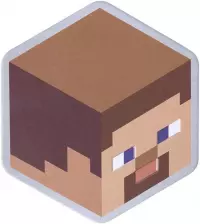 5. Zestaw 4 Podkładek Minecraft