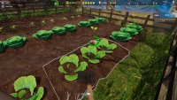 10. Cafe Owner Simulator - Farm PL (DLC) (PC) (klucz STEAM)