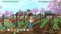 5. Story of Seasons: A Wonderful Life (PC) (klucz STEAM)