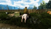 11. Farmer's Life PL (PC) (klucz STEAM)