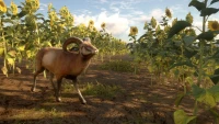 7. theHunter: Call of the Wild™ - Cuatro Colinas Game Reserve PL (DLC) (PC) (klucz STEAM)