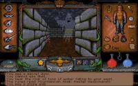 4. Ultima Underworld 1+2 (PC) (klucz GOG.COM)
