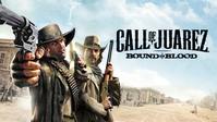 1. Call of Juarez: Bound in Blood (klucz GOG.COM)
