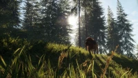 10. theHunter: Call of the Wild™ - Bloodhound PL (DLC) (PC) (klucz STEAM)