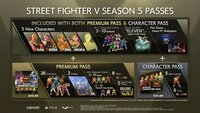1. Street Fighter V Character Pass (DLC) (PC) (klucz STEAM)