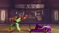 2. Street Fighter V Character Pass (DLC) (PC) (klucz STEAM)