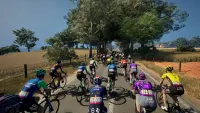 9. Pro Cycling Manager 25 (PC) (klucz STEAM)