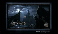 4. Puzzle Harry Potter - Dementorzy w Hogwarcie 1000 elementów