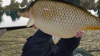 1. Fishing Sim World: Pro Tour - Gigantica Road Lake PL (PC) (klucz STEAM)