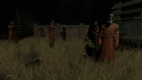 3. Pathologic 2 (PC) (klucz STEAM)