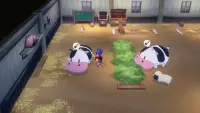 6. Story of Seasons: Grand Bazaar Limited Edition (NS2)