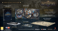 1. Pillars of Eternity II: Deadfire - Obsidian Edition (PC) PL DIGITAL (klucz STEAM)