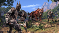 2. The Elder Scrolls Online - Elsweyr Digital Collector's Edition (PC/MAC) DIGITAL klucz Bethesda.net (Klucz do aktywacji online)