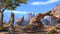 6. The Elder Scrolls Online - Elsweyr Standard Edition (PC/MAC) klucz Bethesda.net (Klucz do aktywacji online)