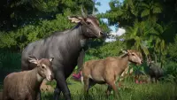 9. Planet Zoo: Asia Animal Pack PL (DLC) (PC) (klucz STEAM)