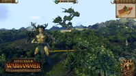 5. Total War: WARHAMMER - Realm of the Wood Elves Campaign Pack (PC) PL DIGITAL (klucz STEAM)