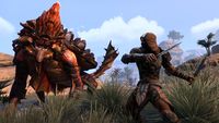 5. The Elder Scrolls Online: Gold Edition (PC) DIGITAL (Klucz do aktywacji online)