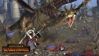 10. Total War: WARHAMMER - Realm of the Wood Elves Campaign Pack (PC) PL DIGITAL (klucz STEAM)