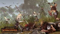 11. Total War: WARHAMMER - Realm of the Wood Elves Campaign Pack (PC) PL DIGITAL (klucz STEAM)