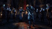 7. The Elder Scrolls Online: Gold Edition (PC) DIGITAL (Klucz do aktywacji online)