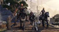4. The Elder Scrolls Online: Gold Edition (PC) DIGITAL (Klucz do aktywacji online)